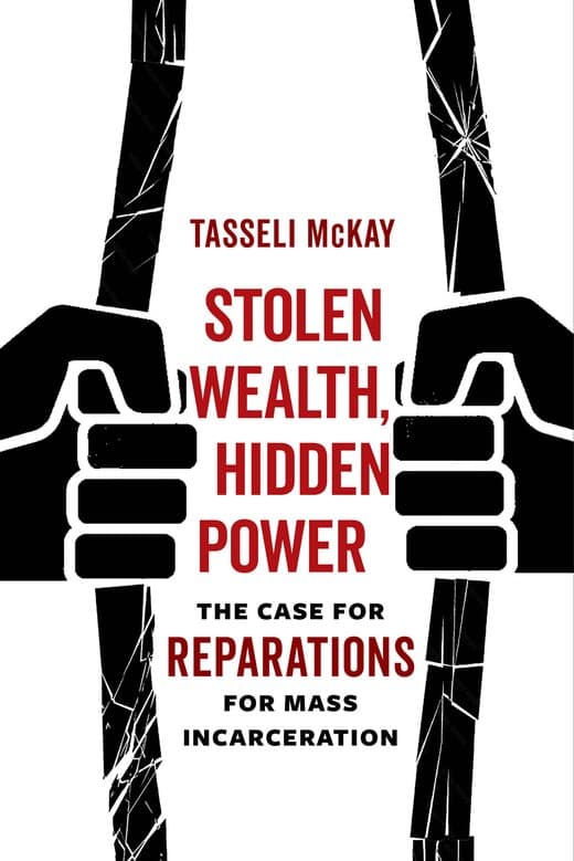 Cover of Stolen Wealth, Hidden Power