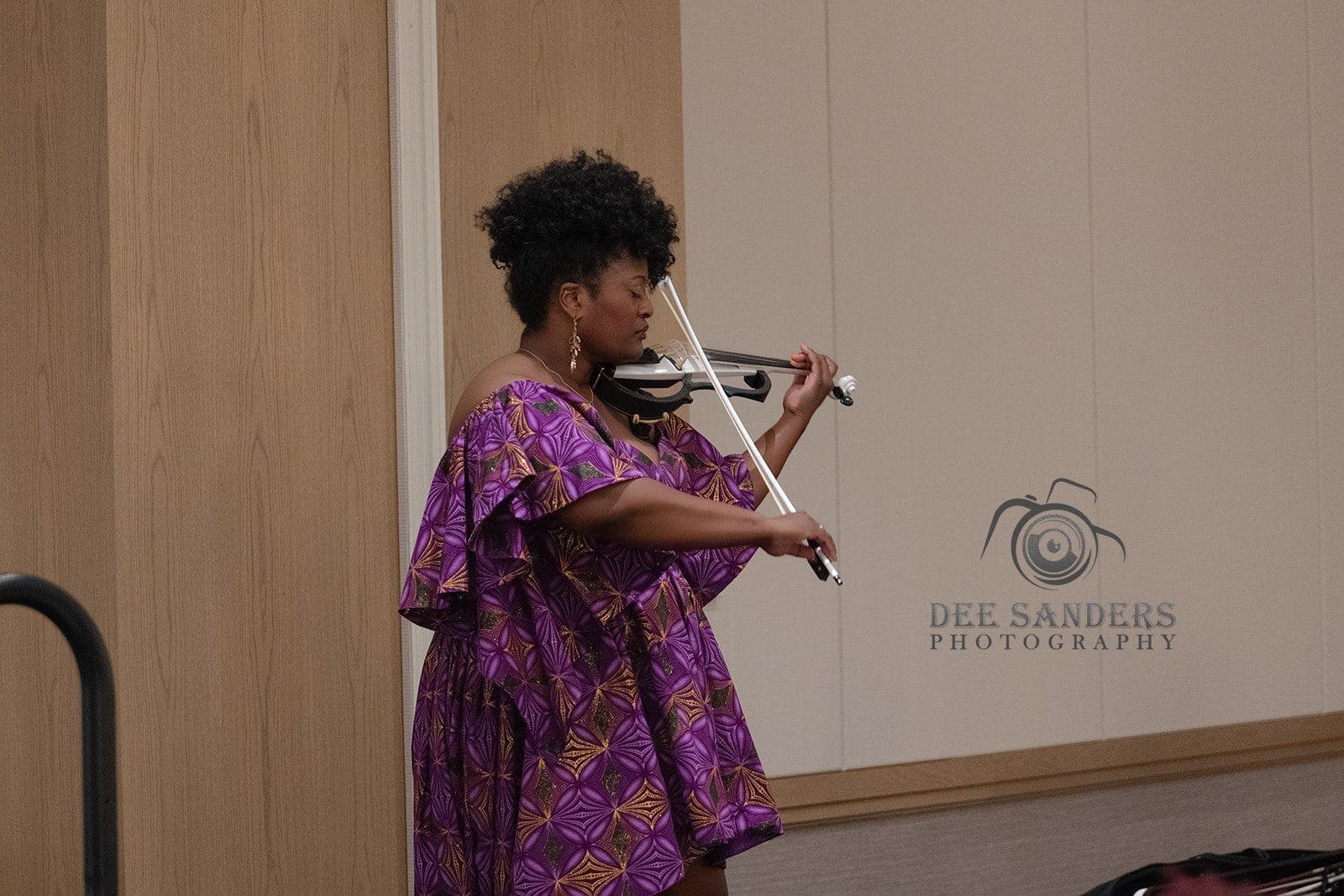 A violinist performing for the dinner guests